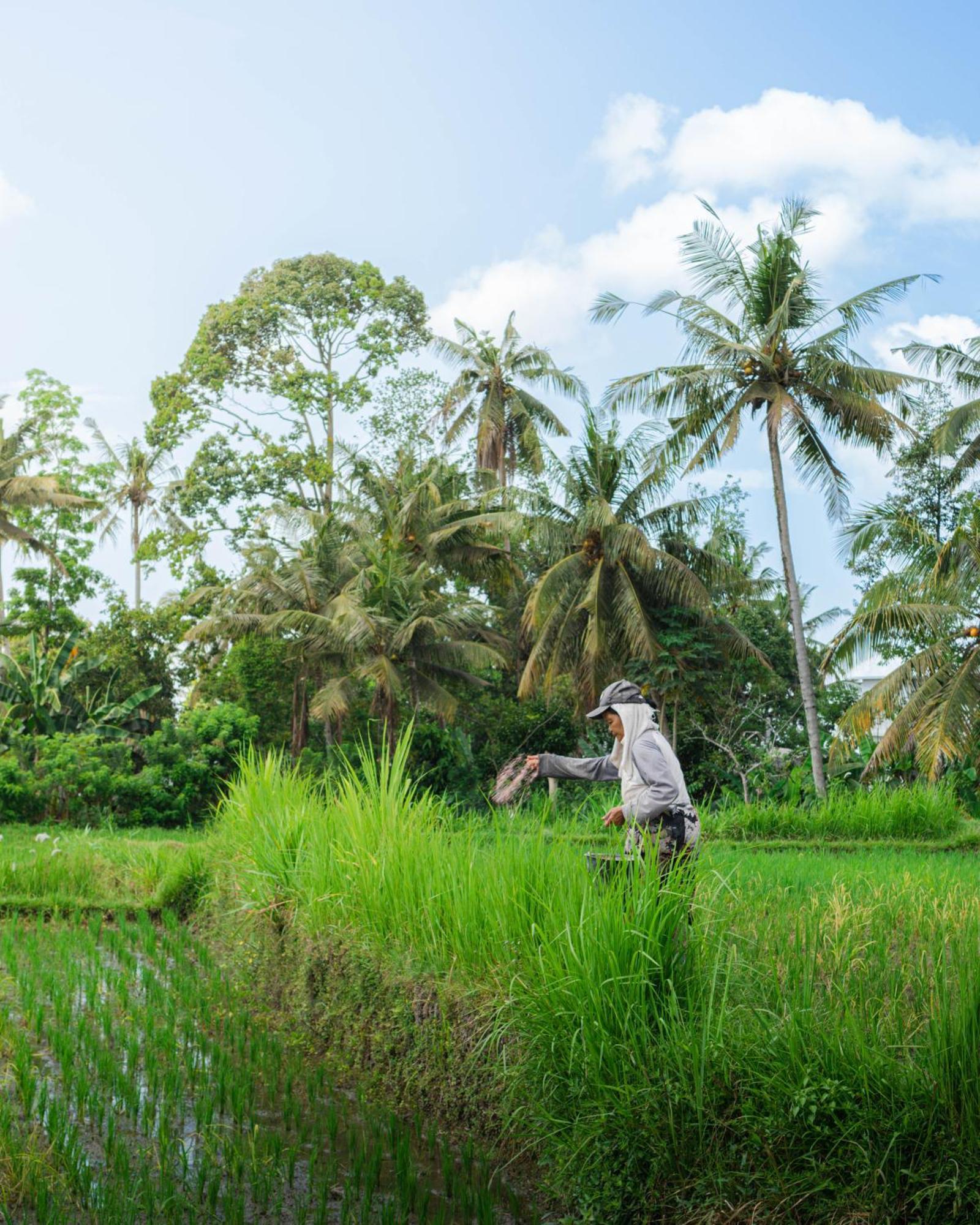 Tannari Villa Ubud Eksteriør bilde